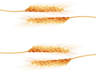 Similar image 6531011