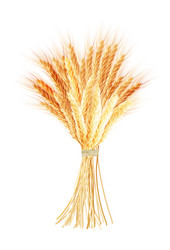 Similar image 6531012