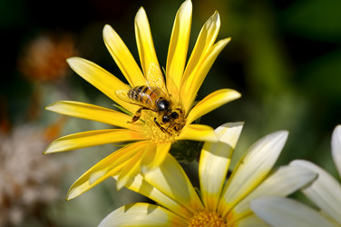 Similar image 6531093