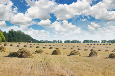 Similar image 6531096