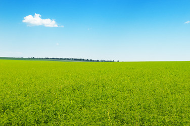 Similar image 6531099