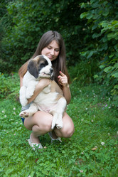 Similar image 6531105