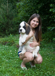 Similar image 6531108