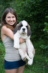 Similar image 6531110