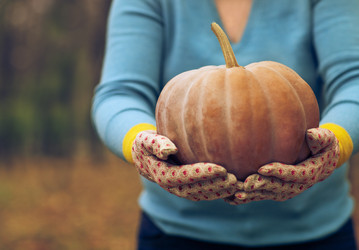 Similar image 6531133