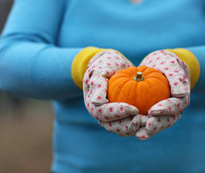 Similar image 6531135