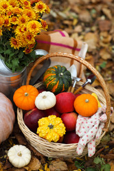 Similar image 6531149