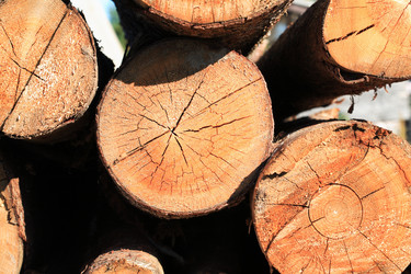 Similar image 6531170