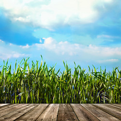 Similar image 6531174