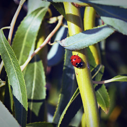 Similar image 6531175