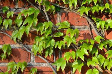 Similar image 6531178