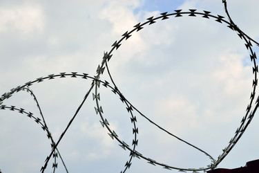 Similar image 6531182