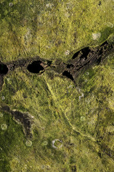 Similar image 6531193