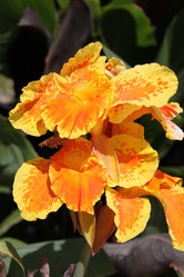 Similar image 6531569