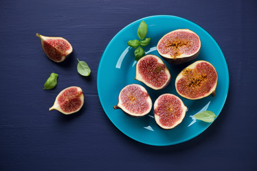 Similar image 6531625