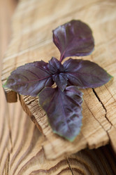 Similar image 6531652