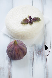 Similar image 6531653