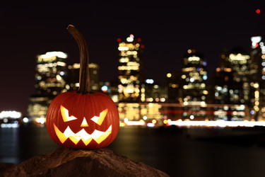 Similar image 6531669