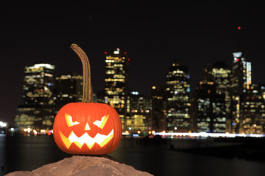 Similar image 6531678