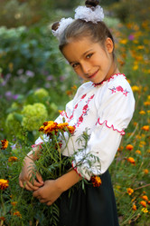 Similar image 6531734