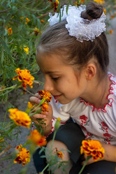 Similar image 6531736