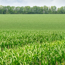 Similar image 6531875