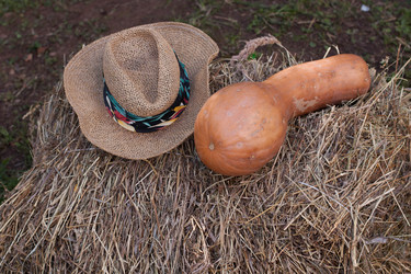 Similar image 6531916