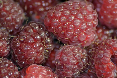 Similar image 6531920