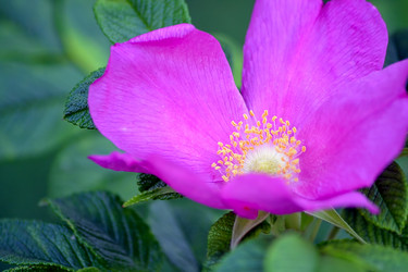 Similar image 6531921