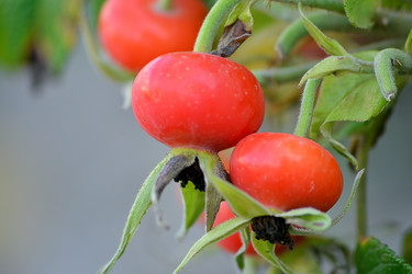 Similar image 6531922