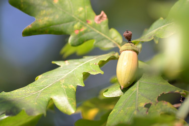 Similar image 6531923