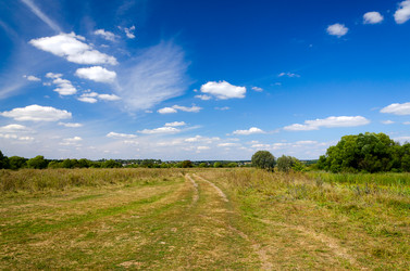 Similar image 6531930