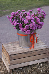 Similar image 6531933