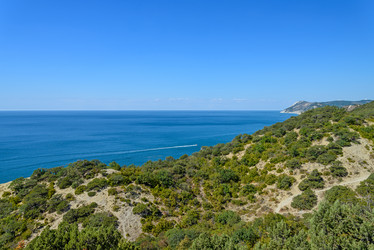 Similar image 6531956