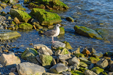 Similar image 6531958