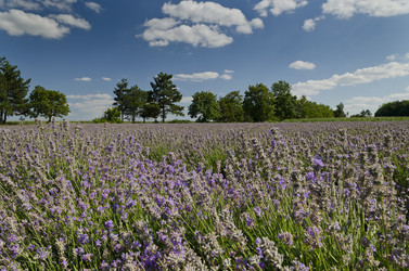 Similar image 6532013