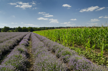 Similar image 6532014