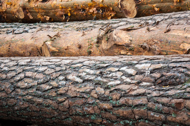 Similar image 6532046