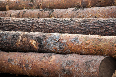 Similar image 6532048