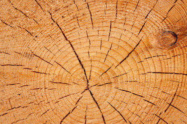 Similar image 6532050