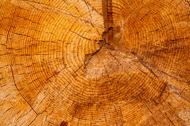 Similar image 6532052