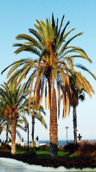 Similar image 6532068