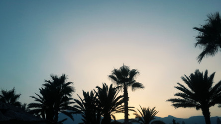 Similar image 6532074