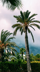 Similar image 6532075