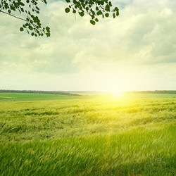 Similar image 6532090