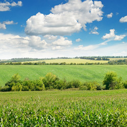 Similar image 6532095