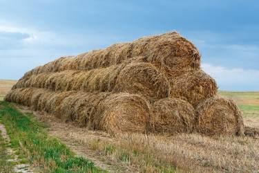 Similar image 6532197