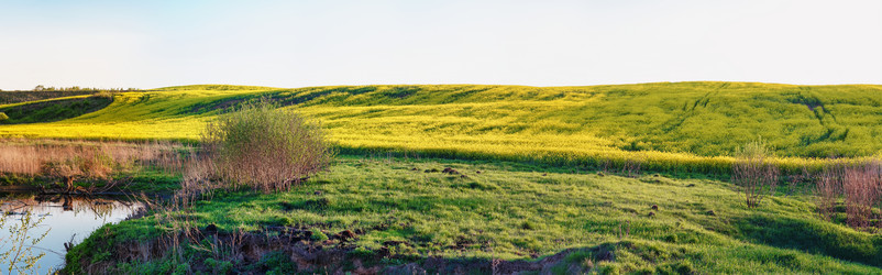 Similar image 6532201