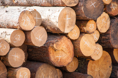 Similar image 6532219