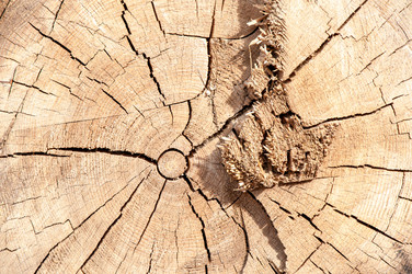 Similar image 6532220